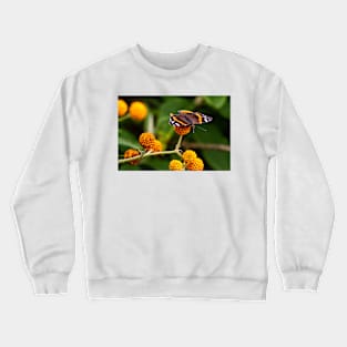 Beautiful Butterfly basking on Buddleia bush. Crewneck Sweatshirt